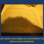 Doğa Tarihi Müzeleri Fatih_Page_152
