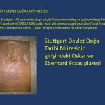 Doğa Tarihi Müzeleri Fatih_Page_171